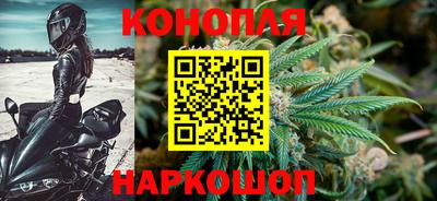 гашик Лесосибирск