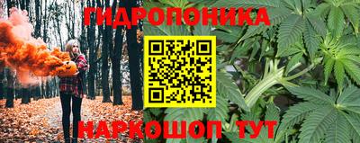 гашик Лесосибирск