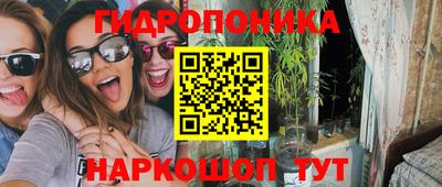 гашик Лесосибирск