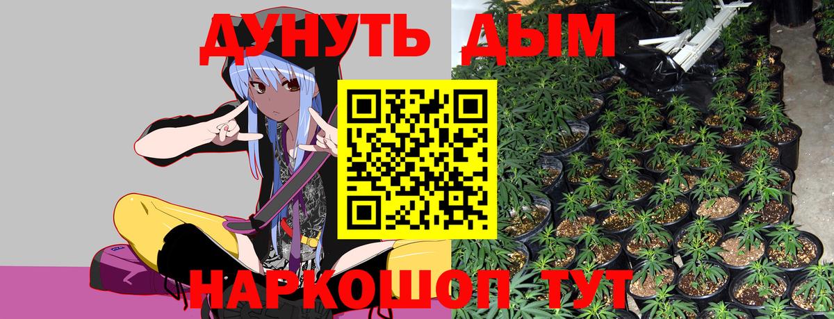 Шишки марихуана тримм Горно-Алтайск